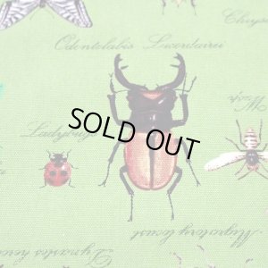 画像6: 草原の虫たち【シューズバッグ】 手作りキット 作り方マニュアル付き 入園入学 手芸キット