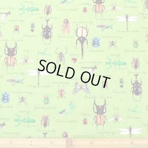 画像7: 草原の虫たち【シューズバッグ】 手作りキット 作り方マニュアル付き 入園入学 手芸キット