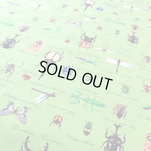 画像9: 草原の虫たち【シューズバッグ】 手作りキット 作り方マニュアル付き 入園入学 手芸キット