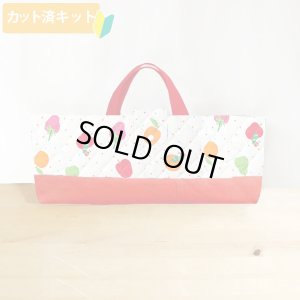 画像1: はらぺこあおむし ミニドット◎底布付【ピアニカバッグ】 材料セット 作り方マニュアル付き 入園入学 手芸キット[s]