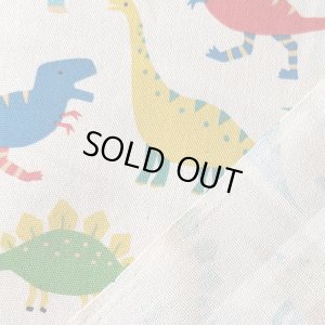 画像1: カラフルダイナソー◎底布付【ピアニカバッグ】 手作りキット 作り方マニュアル付き 入園入学 手芸キット[n][s]