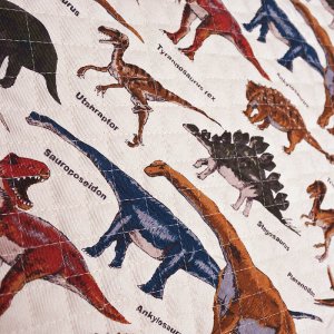 画像4: 《家庭科教材対応》恐竜の図鑑 サンドベージュ キルティング生地【ナップサック】手作りキット 作り方マニュアル付き 小学校 家庭科 キット