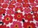 画像7: 北欧のお花 赤/青/黒 入園入学 5点セット 手作りキット 作り方マニュアル付き 材料セット