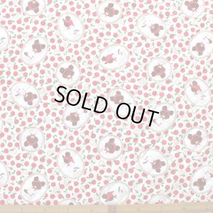 画像3: ジャッキーと林檎◎底布付【ピアニカバッグ】 材料セット 作り方マニュアル付き 入園入学 手芸キット[s]