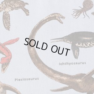 画像5: 古代の海竜たち【入園・入学 3点セット】 手作りキット 作り方マニュアル付き 入園入学 手芸キット[n]