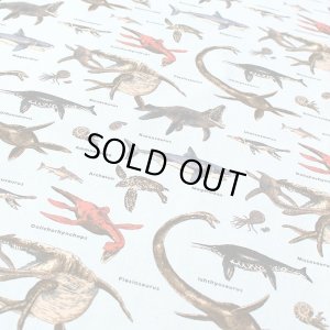 画像7: 古代の海竜たち【入園・入学 3点セット】 手作りキット 作り方マニュアル付き 入園入学 手芸キット[n]