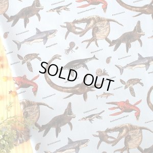 画像1: 古代の海竜たち【キッズエプロン&三角巾】Mサイズ 手作りキット 作り方マニュアル付き 入園入学 手芸キット