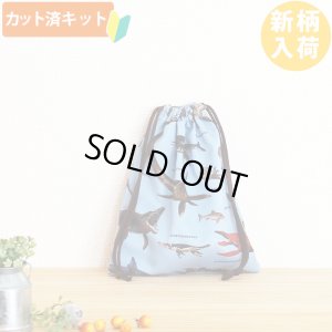 画像5: 古代の海竜たち【入園・入学 5点セット】 手作りキット 作り方マニュアル付き 入園入学 手芸キット[n]