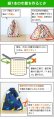 画像5: 小花のボーダー ブルー【給食袋】手作りキット 作り方マニュアル付き 入園入学 2025年度春 薄手生地+裏地[u]