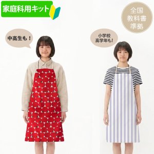 画像1: [平日AM注文で即日出荷]《家庭科教材対応》【キッズ エプロン】 女の子向け｜ガールズ 手作りキット 作り方マニュアル付き 小学校 家庭科 キット