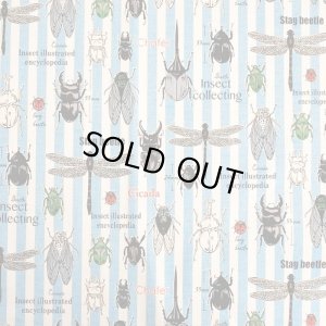 画像5: [15％OFF]★在庫限り サイズ変更不可★昆虫の図鑑 ブルーストライプ【コップ袋】手作りキット 作り方マニュアル付き 入園入学 2024年度春 中厚手生地[n]