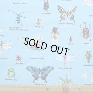 画像3: 昆虫図鑑 そらいろ【お弁当袋】中厚手生地 手作りキット 作り方マニュアル付き 入園入学 手芸キット[n]