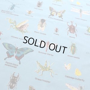 画像4: 昆虫図鑑 そらいろ【お弁当袋】中厚手生地 手作りキット 作り方マニュアル付き 入園入学 手芸キット[n]