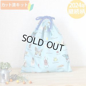 画像1: ●アウトレット サイズ変更不可●昆虫図鑑 そらいろ【体操服袋/ナップサック】 中厚手生地 手作りキット 作り方マニュアル付き 入園入学 手芸キット[n]