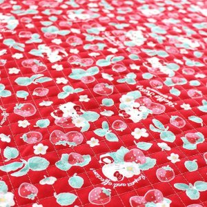 画像5: ●アウトレット サイズ変更不可●キティと苺畑【シューズバッグ】 材料セット 作り方マニュアル付き 入園入学 手芸キット