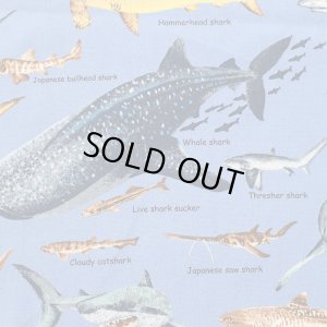 画像5: マニアックなおさかな【レッスンバッグ】 手作りキット 作り方マニュアル付き 入園入学 手芸キット[n][u]