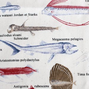 画像4: マニアックなおさかな【ランチョンマット】中厚手生地 手作りキット 作り方マニュアル付き 入園入学 手芸キット[u]