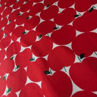 まあるい林檎【ランチョンマット】中厚手生地 手作りキット 作り方マニュアル付き 入園入学 手芸キット[u]