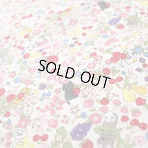 画像4: にゃんこのベリーガーデン【移動ポケット】薄手生地+裏地 手作りキット 作り方マニュアル付き 入園入学 2024年度 学校 教材