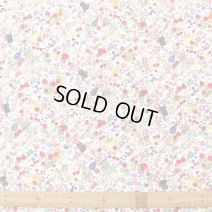 画像3: ●アウトレット サイズ変更不可●にゃんこのベリーガーデン◎底布付【レッスンバッグ】 手作りキット 作り方マニュアル付き 入園入学 手芸キット[s]