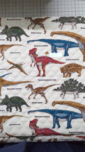 画像2: ●アウトレット サイズ変更不可●恐竜の図鑑 サンドベージュ◎底布付【レッスンバッグ】手作りキット 作り方マニュアル付き 入園入学 手芸キット