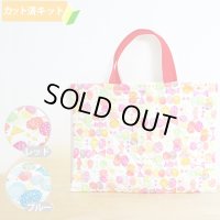 リボン＆ちょうちょ レッド/ブルー【レッスンバッグ】手作りキット 作り方マニュアル付き 入園入学 手芸キット