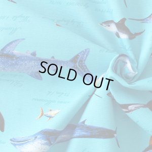 画像2: ●アウトレット サイズ変更不可●海の生き物図鑑 ターコイズ【体操服袋/ナップサック】 中厚手生地 手作りキット 作り方マニュアル付き 入園入学 2024年度春