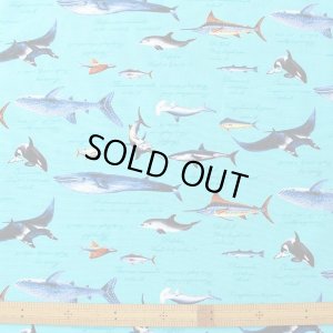 画像3: ●アウトレット サイズ変更不可●海の生き物図鑑 ターコイズ【体操服袋/ナップサック】 中厚手生地 手作りキット 作り方マニュアル付き 入園入学 2024年度春