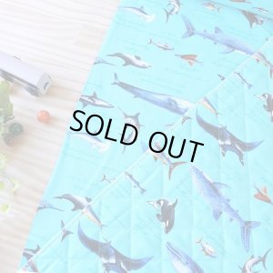 画像5: ●アウトレット サイズ変更不可●海の生き物図鑑 ターコイズ【体操服袋/ナップサック】 中厚手生地 手作りキット 作り方マニュアル付き 入園入学 2024年度春