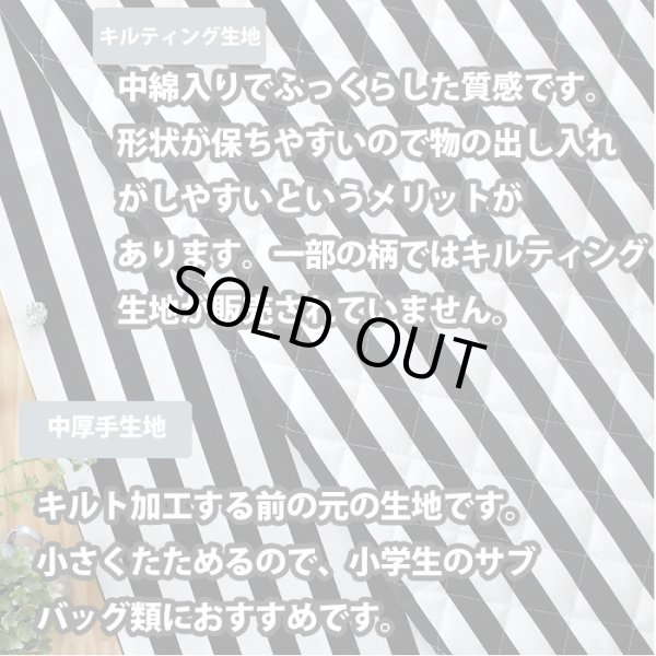 画像2: ぞうさん 黄色【レッスンバッグ】手作りキット 作り方マニュアル付き 入園入学 手芸キット[n] (2)