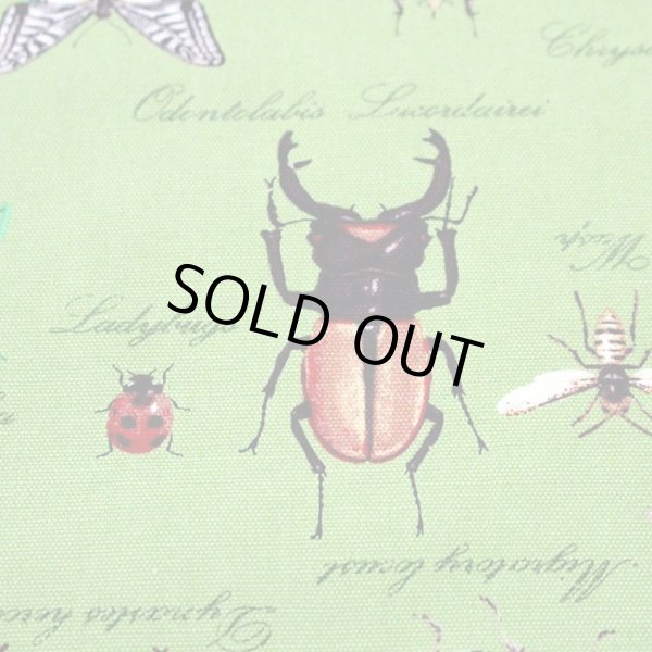 画像6: 草原の虫たち【シューズバッグ】 手作りキット 作り方マニュアル付き 入園入学 手芸キット (6)