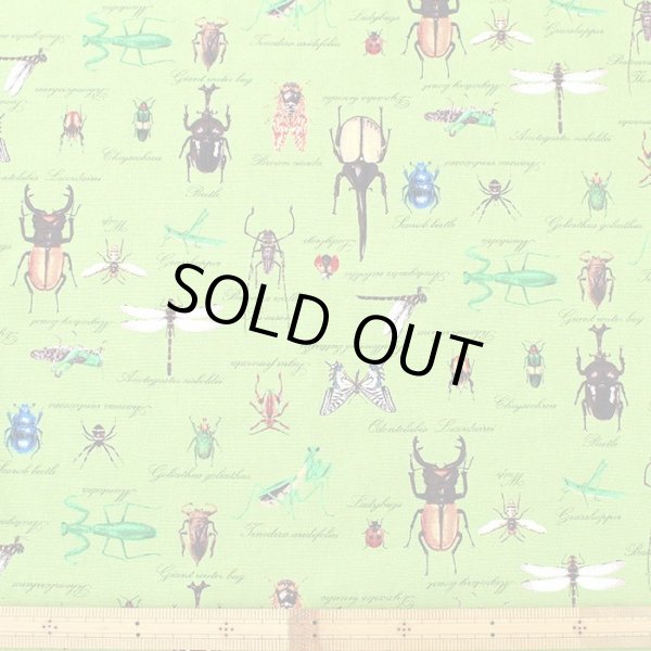 画像7: 草原の虫たち【シューズバッグ】 手作りキット 作り方マニュアル付き 入園入学 手芸キット (7)