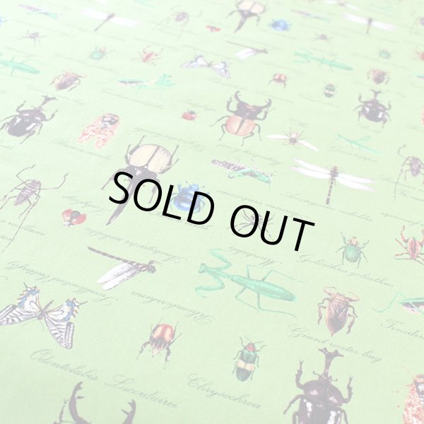 画像9: 草原の虫たち【シューズバッグ】 手作りキット 作り方マニュアル付き 入園入学 手芸キット (9)