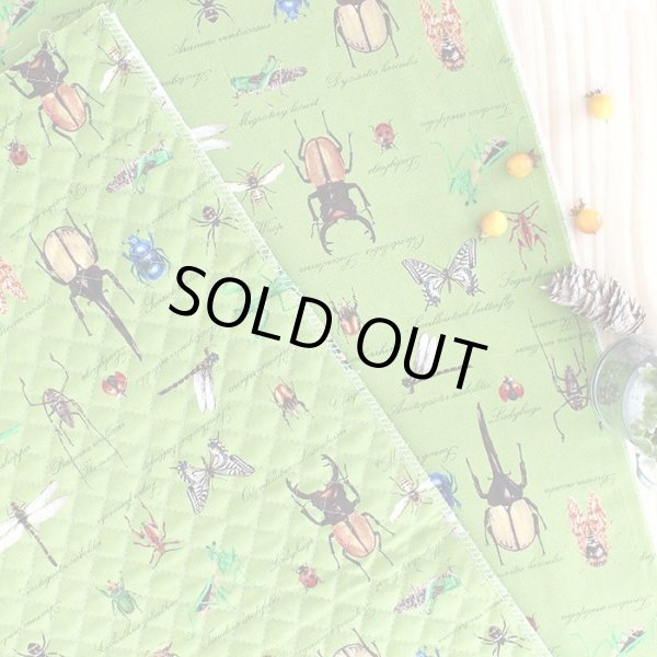 画像5: 草原の虫たち【シューズバッグ】 手作りキット 作り方マニュアル付き 入園入学 手芸キット (5)