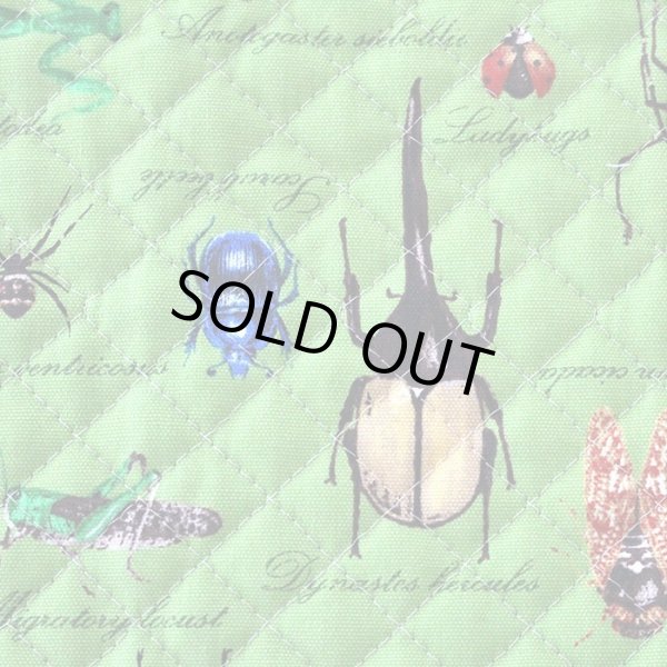 画像2: 草原の虫たち【シューズバッグ】 手作りキット 作り方マニュアル付き 入園入学 手芸キット (2)