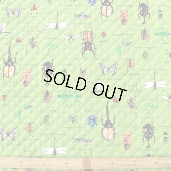 画像3: 草原の虫たち【シューズバッグ】 手作りキット 作り方マニュアル付き 入園入学 手芸キット (3)