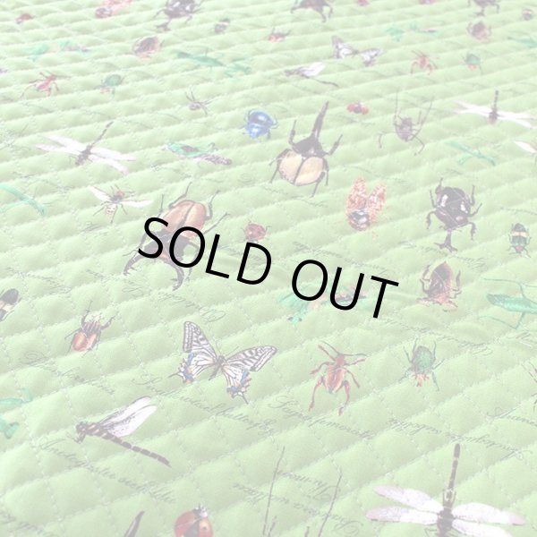 画像4: 草原の虫たち【シューズバッグ】 手作りキット 作り方マニュアル付き 入園入学 手芸キット (4)