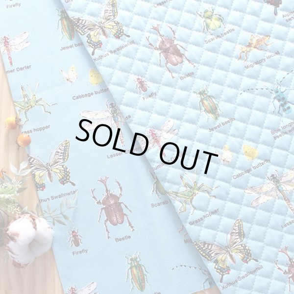 画像5: 昆虫図鑑 そらいろ【お弁当袋】中厚手生地 手作りキット 作り方マニュアル付き 入園入学 手芸キット[n] (5)