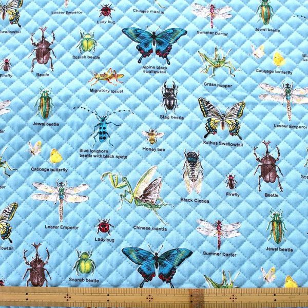 画像3: 《家庭科教材対応》昆虫図鑑 そらいろ キルティング生地【ナップサック】手作りキット 作り方マニュアル付き 小学校 家庭科 キット (3)