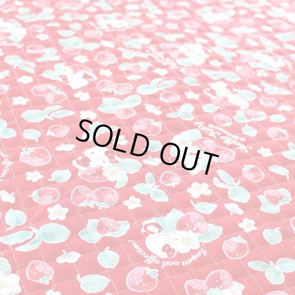 画像4: キティと苺畑【ピアニカバッグ】 材料セット 作り方マニュアル付き 入園入学 手芸キット (4)