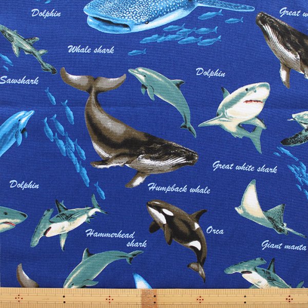 画像3: クジラとサメ ネイビー【お弁当袋】中厚手生地 手作りキット 作り方マニュアル付き 入園入学 手芸キット[n] (3)