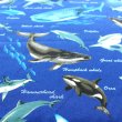 画像4: クジラとサメ ネイビー【お弁当袋】中厚手生地 手作りキット 作り方マニュアル付き 入園入学 手芸キット[n] (4)