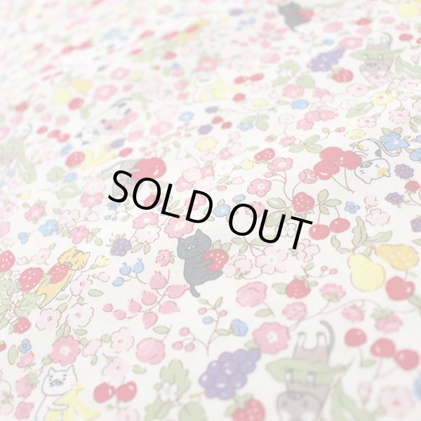 画像4: にゃんこのベリーガーデン【移動ポケット】薄手生地+裏地 手作りキット 作り方マニュアル付き 入園入学 2024年度 学校 教材 (4)