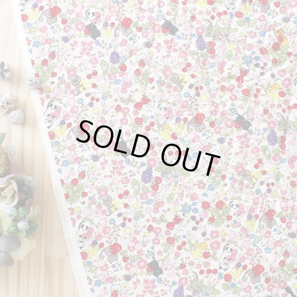 画像5: ●アウトレット サイズ変更不可●にゃんこのベリーガーデン◎底布付【レッスンバッグ】 手作りキット 作り方マニュアル付き 入園入学 手芸キット[s] (5)