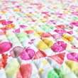 画像6: 《家庭科教材対応》リボン＆ちょうちょ レッド/ブルー キルティング生地【ナップサック】手作りキット 作り方マニュアル付き 小学校 家庭科 キット (6)