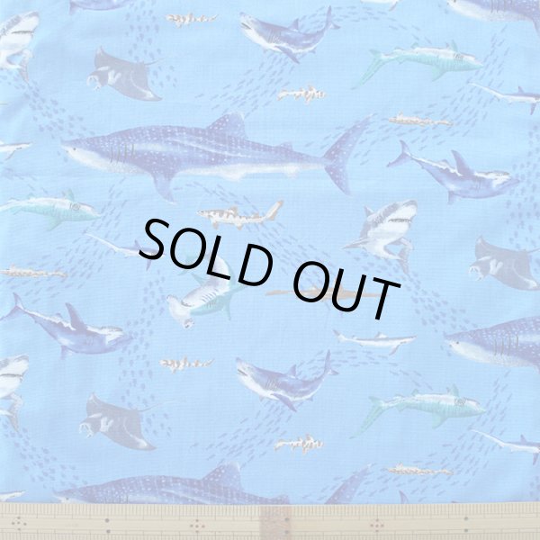 画像7: サメとマンタの海【シューズバッグ】 手作りキット 作り方マニュアル付き 入園入学 手芸キット (7)