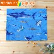 画像1: サメとマンタの海【ランチョンマット】薄手生地+裏地 手作りキット 作り方マニュアル付き 入園入学 手芸キット[u] (1)