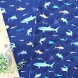 画像5: サメのいる海【キッズエプロン&三角巾】Mサイズ 手作りキット 作り方マニュアル付き 入園入学 手芸キット (5)