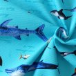 画像2: ●アウトレット サイズ変更不可●海の生き物図鑑 ターコイズ【コップ袋】中厚手生地 手作りキット 作り方マニュアル付き 入園入学 2024年度春 (2)