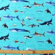 画像3: ●アウトレット サイズ変更不可●海の生き物図鑑 ターコイズ【コップ袋】中厚手生地 手作りキット 作り方マニュアル付き 入園入学 2024年度春 (3)